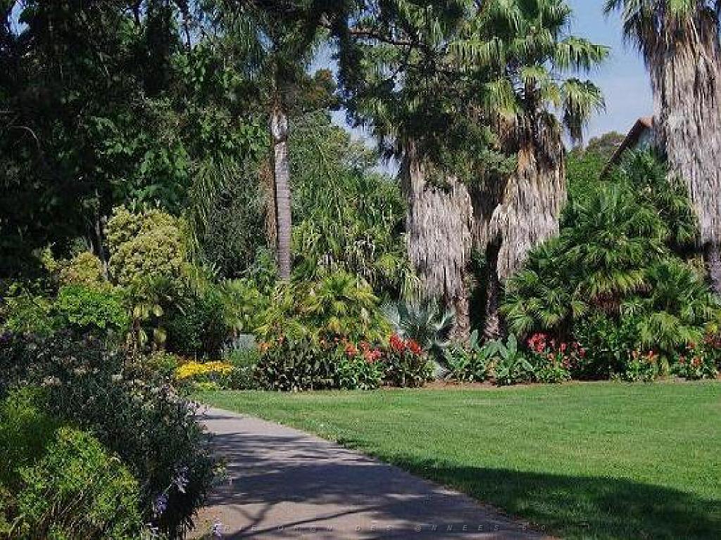 183 D35 PARC OLBIUS RIQUIER A HYERES_000060.jpg